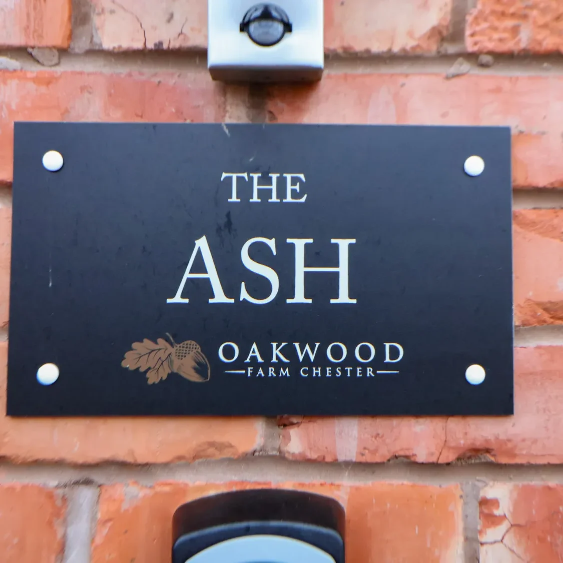 sc_1765875370_1194407_3