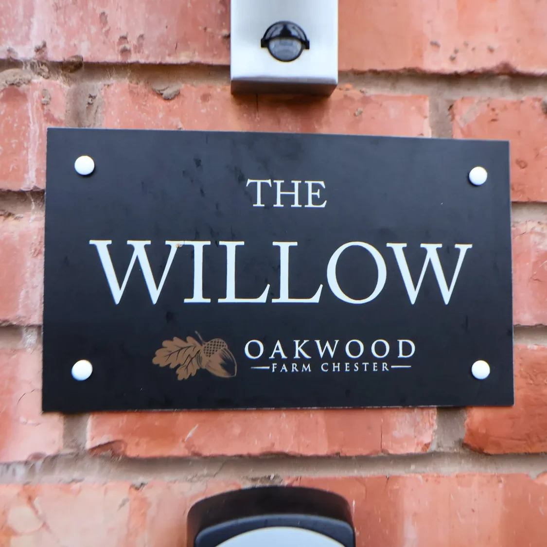 sc_1765879680_1194481_2